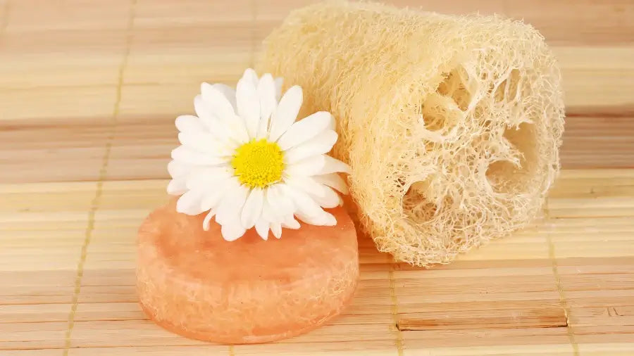 What is a Loofah Sponge?