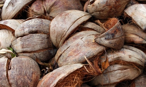 Leftover coconut shells ready for craft