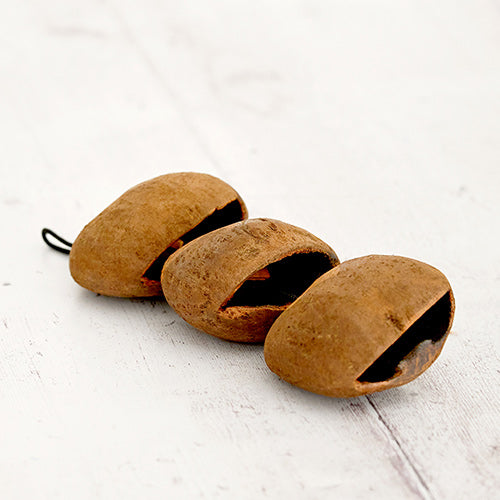 Fruit seed husks on a string underneath