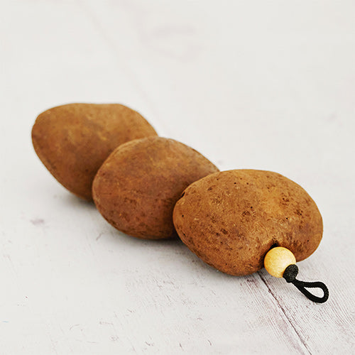 Fruit seed husks on a string with hanging loop