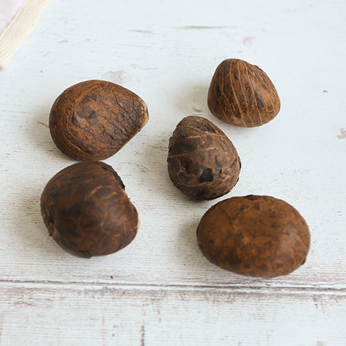 Whole Tagua nut seeds