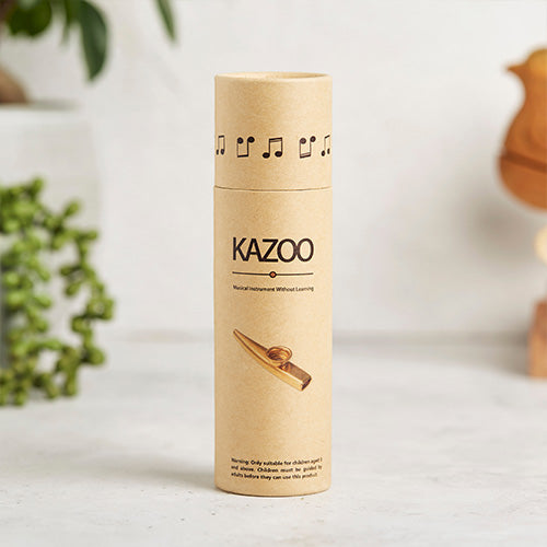 Boxed Metal Kazoo Flute on White Background