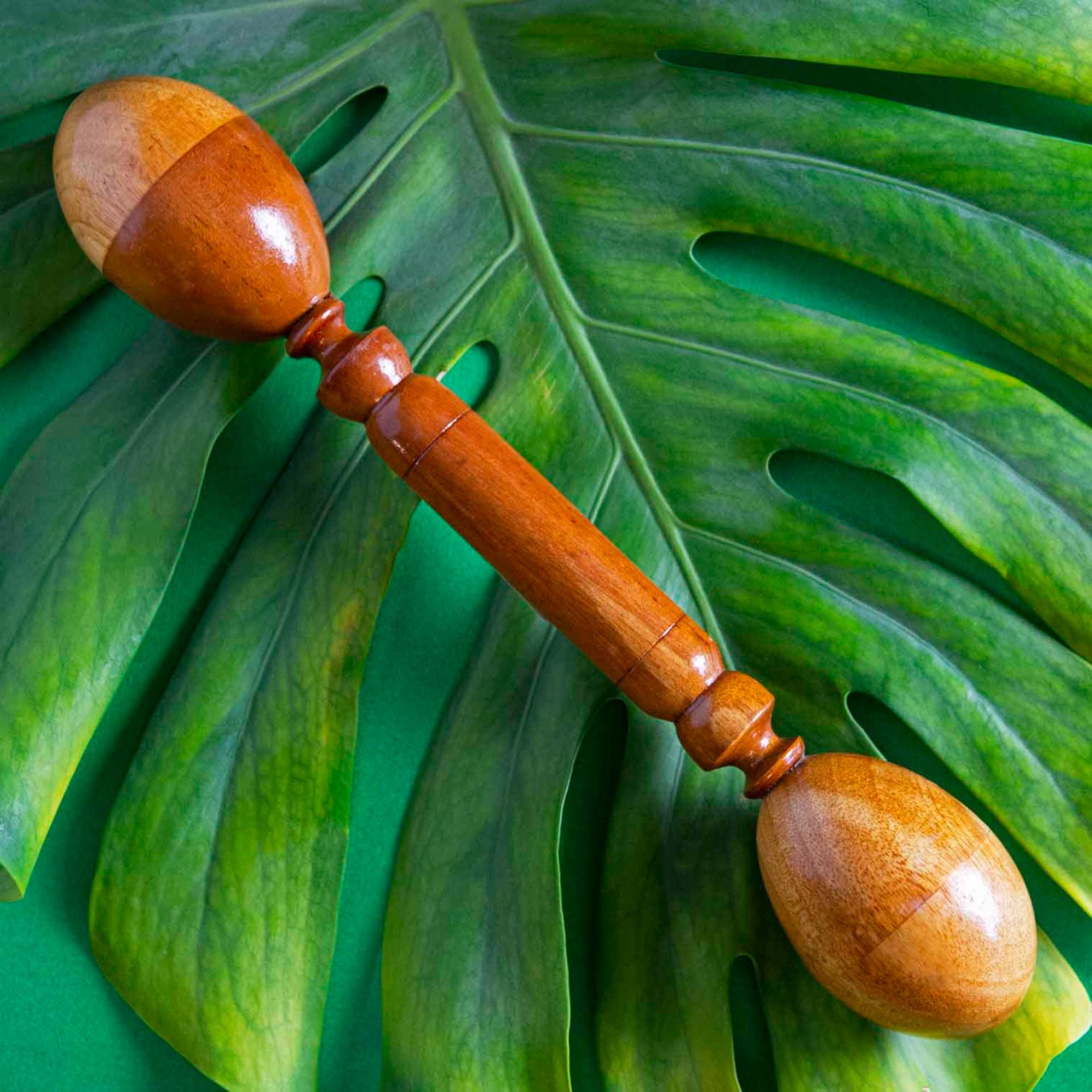 Solid wood egg shaker on a green leaf