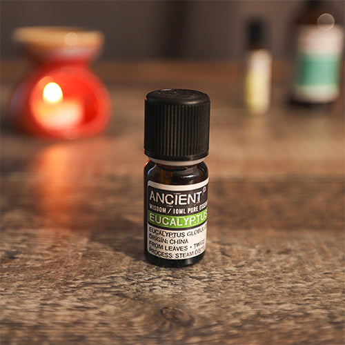 eucalyptus essential oil