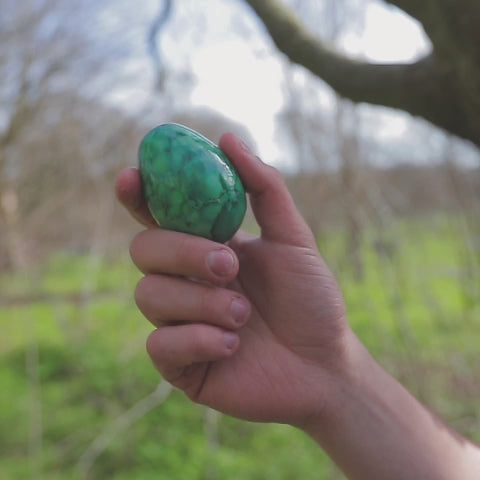 Painted marble egg shaker with green dragon egg design sound demonstration.