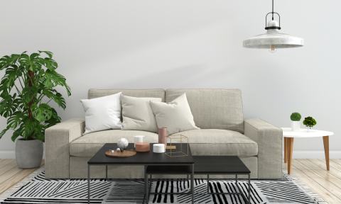 Living Room Interior: Grey Studio Couch, Houseplant, Coffee Table, Throw Pillows